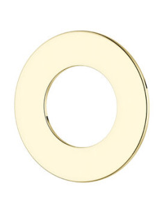 Stiprinājuma plāksne 484247700