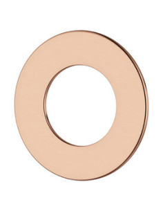 Stiprinājuma plāksne 484248700