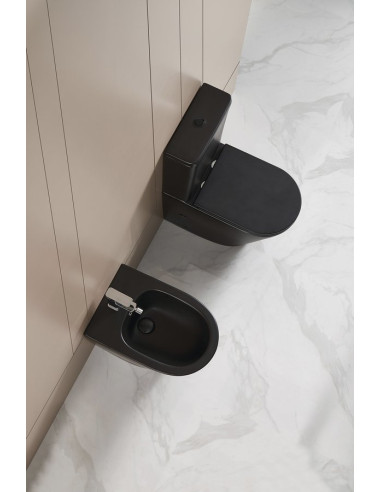 PACO RIMLESS WC-pott sisseehitatud ühendusega, matt must, PC1012WRB - 12