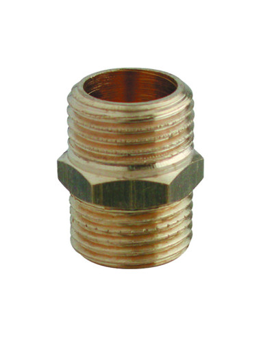 Nipelis Ā-Ā 5300012012G 1/2"