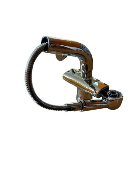 Kitchen faucet with a shower 318340514, SWINGLINE - 1