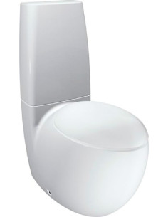 https://magma.lv/48345/laufen-tualetes-pods-alessi-one-229764000001.jpg