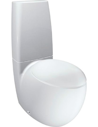 https://magma.lv/48345/laufen-tualetes-pods-alessi-one-229764000001.jpg