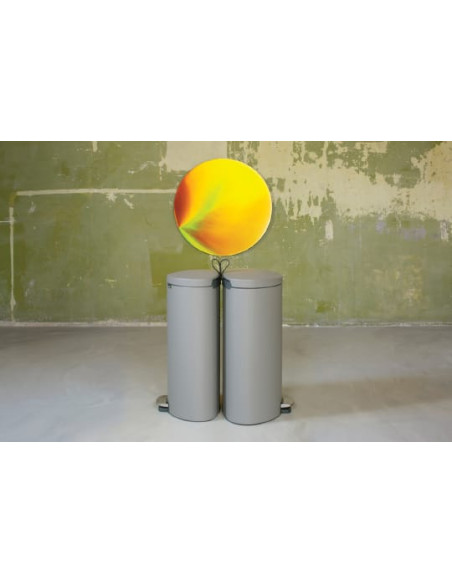 Brabantia miskaste FlatBack+ 119620 - 17 Brabantia miskaste FlatBack+ 119620 - 17