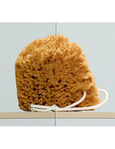 Radaway dušas durvis EOS II DWJ