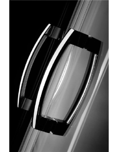 Radaway dušas durvis Premium Plus DWD