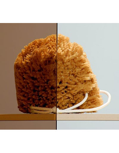 Radaway dušas durvis Treviso DW