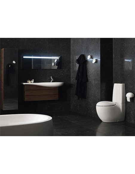 Laufen āķis Alessi one 8.7097.6.000.000.1 - 13 Laufen āķis Alessi one 8.7097.6.000.000.1 - 13