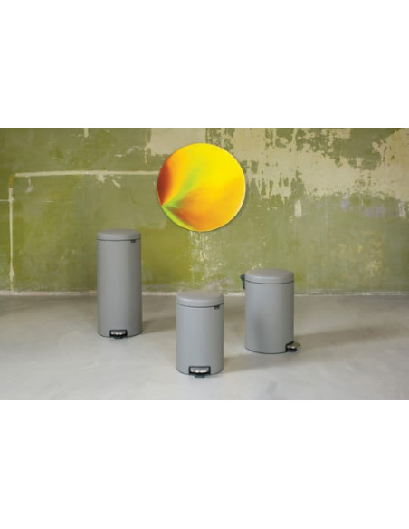 Brabantia miskaste NewIcon 119163 - 13
