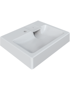 Sink for installation above the washing machine, WBX 102 60x50x11cm - 3