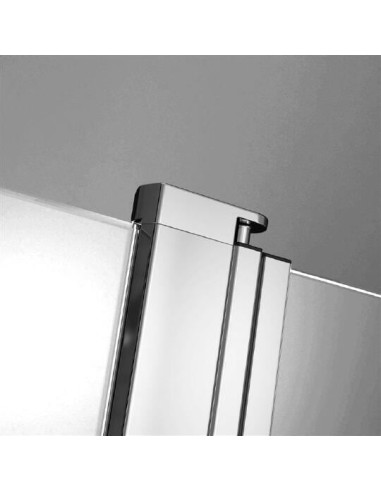 Radaway dušas durvis EOS II DWJS 120/R