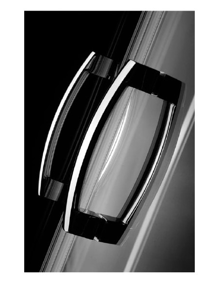 Radaway dušas durvis Premium Plus DWD