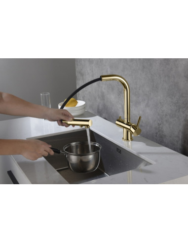 Blue Water virtuves maisītājs Apala zelta