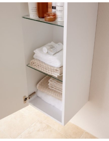 Laufen augsts skapis Palace 4.0202.1.075.463.1 - 8