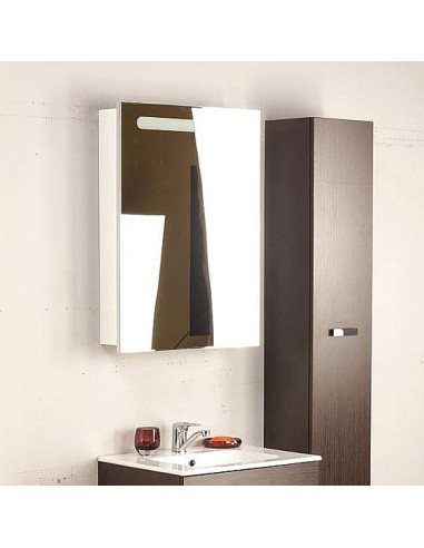 Roca spoguļu skapītis Victoria Nord 60 L