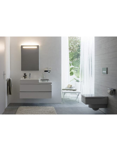 Laufen skapītis ar izlietni Case 4.0128.2.075.463.1 - 9