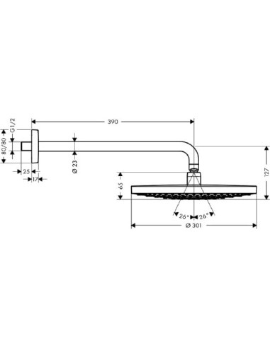 Hansgrohe augšējā duša Raindance Select S 300...