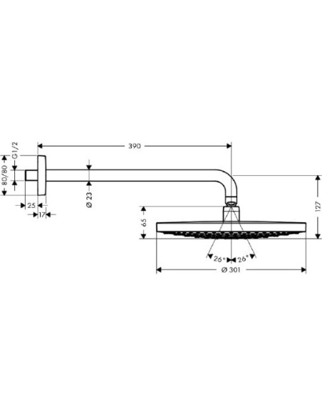 Hansgrohe augšējā duša Raindance Select S 300 2jet 27378400