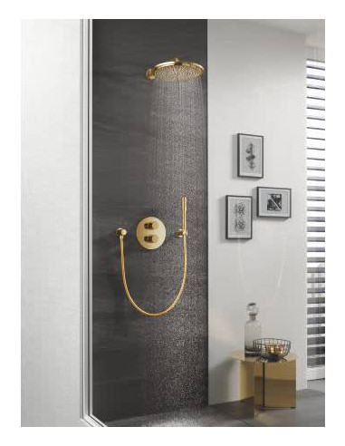 Grohe augšējā duša Rainshower 26066GL0 - 3