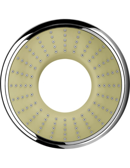 Grohe rokas duša Rainshower Icon 27630000 - 4 Grohe rokas duša Rainshower Icon 27630000 - 4