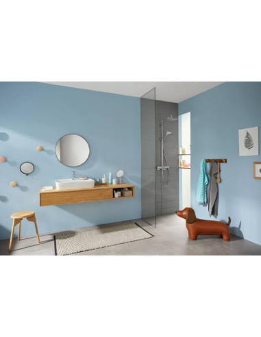 Grohe rokas duša Rainshower Icon 27630000 - 12