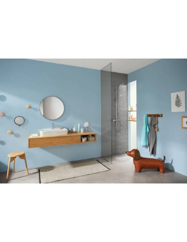 Grohe rokas duša Rainshower Icon 27630000 - 13