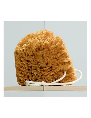 Radaway dušas stūris Torrenta KDJ