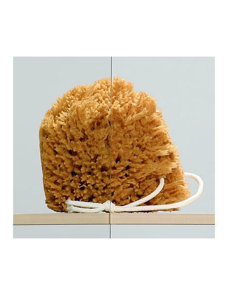 Radaway dušas durvis Torrenta DWJ