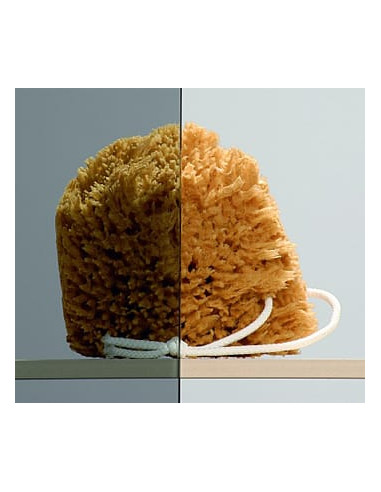 Radaway vannas aizkars Torrenta PNJ