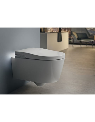 Roca pie sienas piekaramais pods Inspira in-wash