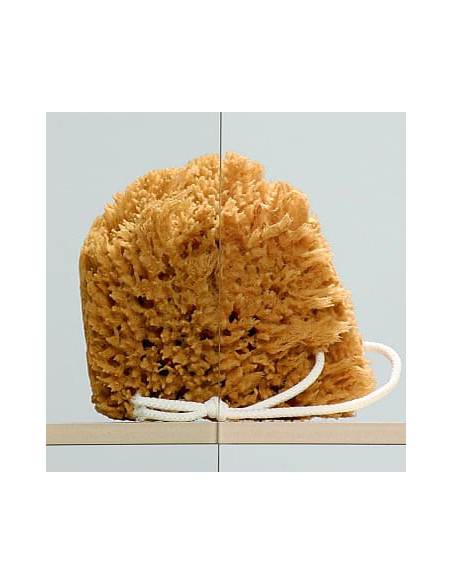 Radaway vannas aizkars EOS II PND