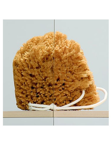 Radaway vannas aizkars EOS PNJ