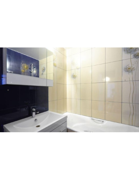 Roca čuguna vanna Malibu 160x75cm, ar rokturiem - 21 Roca čuguna vanna Malibu 160x75cm, ar rokturiem - 21