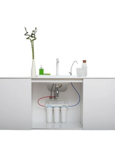 FMV3ECOSTD Ecosoft Standard 3 pakāpju ūdens filtrs