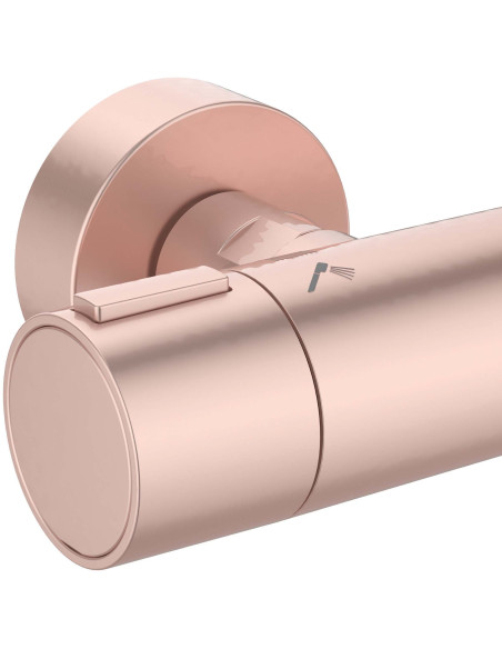 copy of ALU+ BD583XG shower set, gold IDEAL STANDART