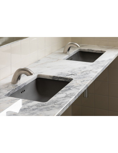 Izlietnes krāns aukstam vai iepriekš sajauktam ūdenim ar iebūvētu ziepju dozatoru, 1 l ziepju tvertne, 230 V maiņstrāva