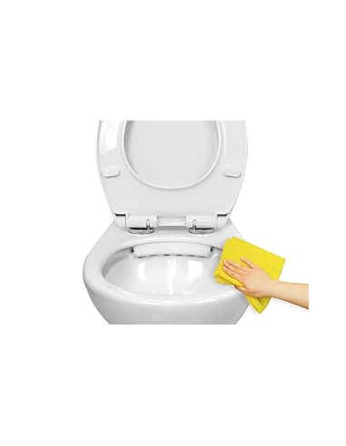 WC pods piekarināms, ar Soft Close vāku, LAVITA ARCTIC - 6