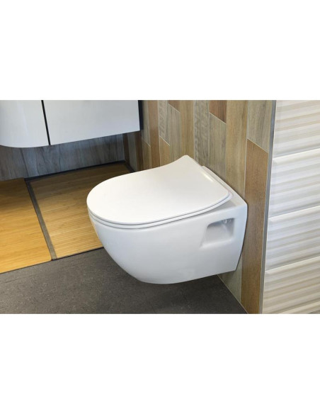 copy of mat white soft close seat, for models FE320, FE322 - 4