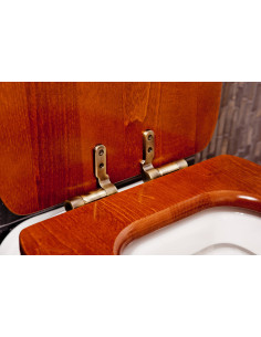 RETRO Valriekstu poda vāks ar mīkstām aizvērtām vecām bronzas eņģēm - 1 2