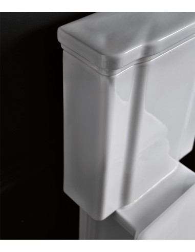 wc Waldorf, hromēta skalošanas poga, universāls izvads - 3