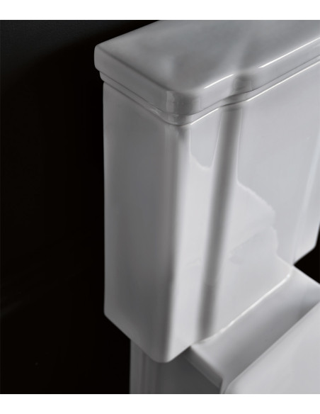 wc Waldorf, hromēta skalošanas poga, universāls izvads - 3 wc Waldorf, hromēta skalošanas poga, universāls izvads - 3