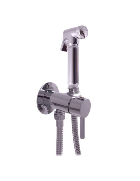 Смеситель для биде скрытого монтажа с гигиеническим душем СЕНА - Barva Chrom Смеситель для биде скрытого монтажа с гигиеническим душем СЕНА - Barva Chrom