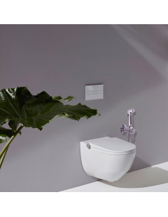 Смеситель для биде скрытого монтажа с гигиеническим душем СЕНА - Barva Chrom 2