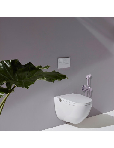 Смеситель для биде скрытого монтажа с гигиеническим душем СЕНА - Barva Chrom