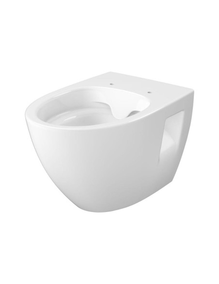 KOMPLEKTS C35: WC Rāmis AQUA 50 MECH QF + MODUO PLUS CLEANON OVĀLS SIENAS PAKĀRINĀMS pods ar SC vāku - 9