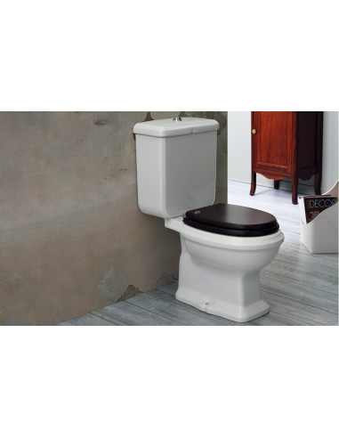 Arcade WC sēdriņkis Soft-Close, koks, bronzas enģes