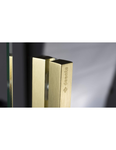 Deante Prizma Dušas siena, ieejama, 90 cm - bīdāma KTJ_R39R