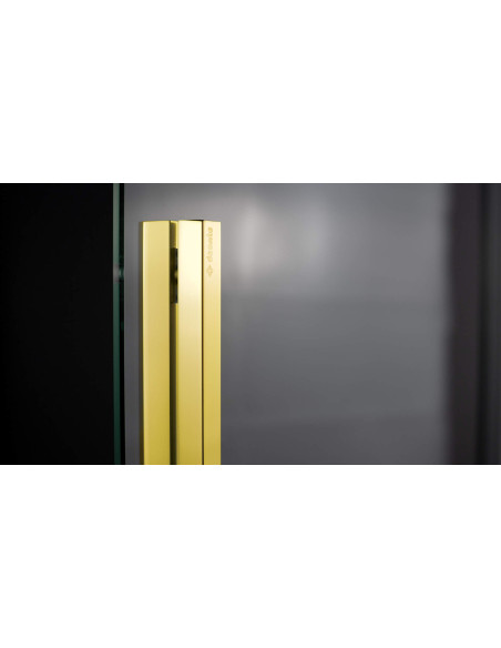 Deante Prizma Dušas siena, ieejama, 100 cm - bīdāma KTJ_Z30R