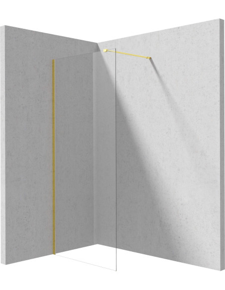 Deante Prizma Dušas siena, ieejama, 100 cm KTJ_Z30P