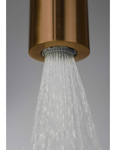 Deante Silia Dušas kolonna, ar dušas maisītāju NQS_C4XM